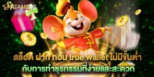 สล็อต ฝาก ถอน true wallet ไม่มีขั้นต่ํา กับการทำธุรกรรมที่ง่ายและสะดวก